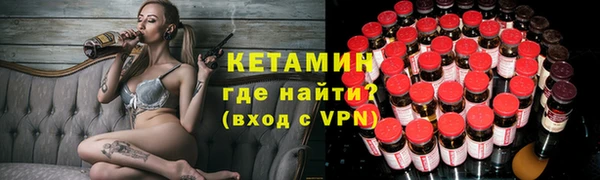 сатива Бородино