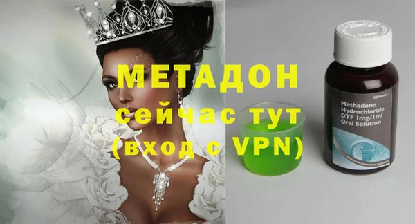 сатива Бородино