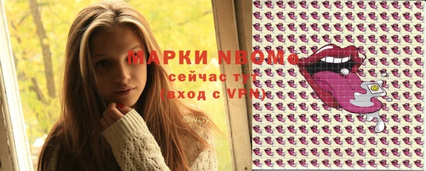 сатива Бородино