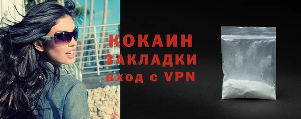сатива Бородино