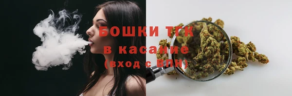 сатива Бугульма
