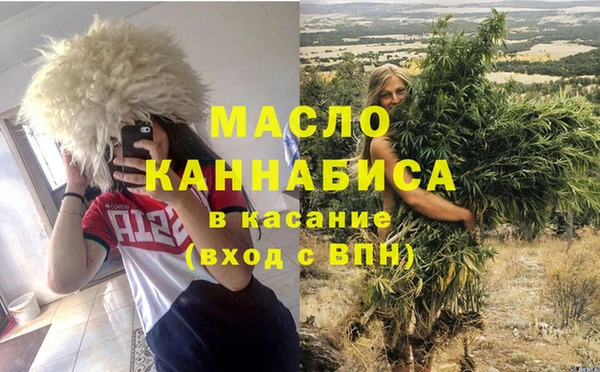сатива Бородино