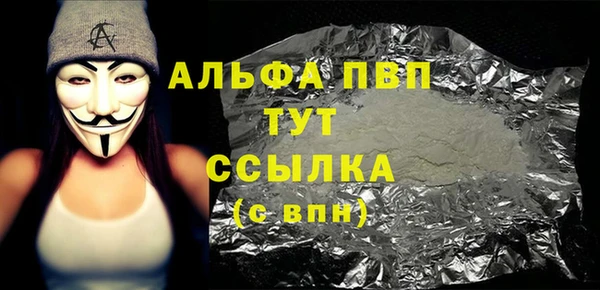 сатива Бородино