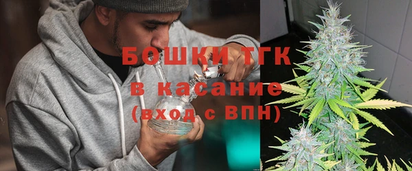 сатива Бородино