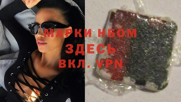 сатива Бородино