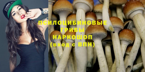 сатива Бородино