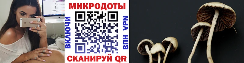 kraken купить сайты Кировск Галлюциногенные грибы ЛСД